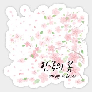 spring in korea,cherry blossoms bloom,petals fly Sticker